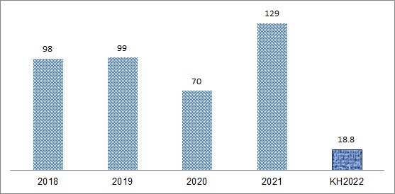 ĐHĐCĐ VTO: Vì sao đặt kế hoạch lợi nhuận 2022 sụt giảm 85%?