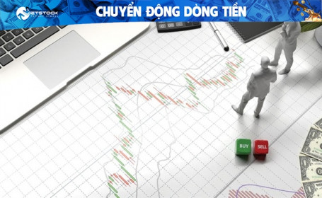 Xuất hiện dòng tiền bắt đáy trong tuần giảm sâu?