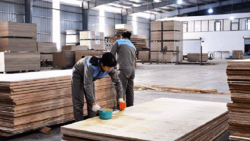 Hoa Kỳ lùi thời hạn kết luận điều tra đối với gỗ dán cứng của Việt Nam