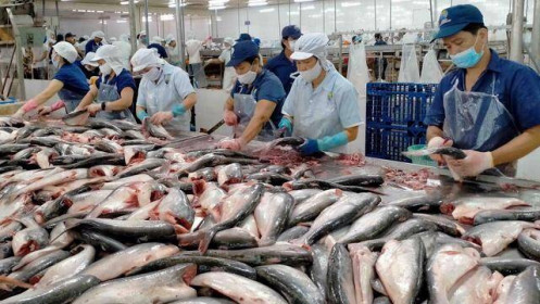 Doanh nghiệp cá tra Việt Nam tìm kiếm thị trường xuất khẩu ở Hội chợ thủy sản toàn cầu