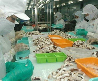 Quý I/2022, xuất khẩu mực, bạch tuộc vào Trung Quốc tăng 143%
