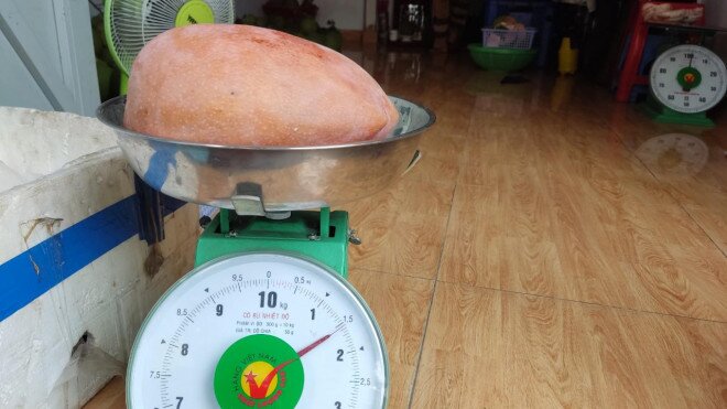 Xoài giống lạ khổng lồ đổ bộ lề đường TP HCM