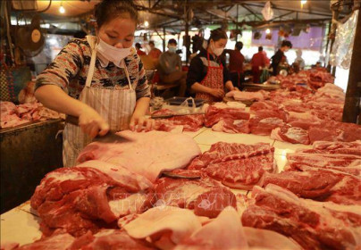Nhập khẩu thịt và sản phẩm thịt sẽ không tăng đột biến