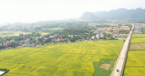 Đề xuất thu hồi loạt 'sổ đỏ' liên quan đến đất nông nghiệp sai quy định ở Ninh Bình