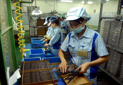 Công bố báo cáo thường niên về đầu tư trực tiếp nước ngoài tại Việt Nam