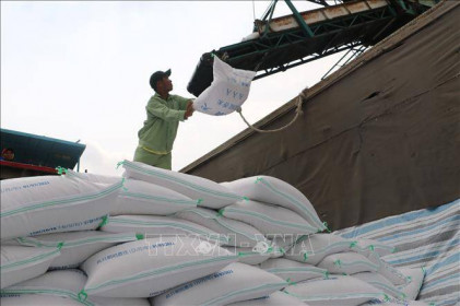 Xuất khẩu gạo sang EU tăng mạnh nhờ EVFTA
