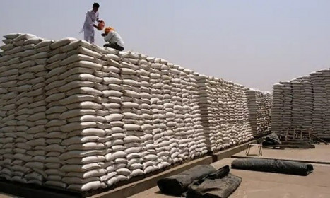Ấn Độ cấm xuất khẩu lúa mì