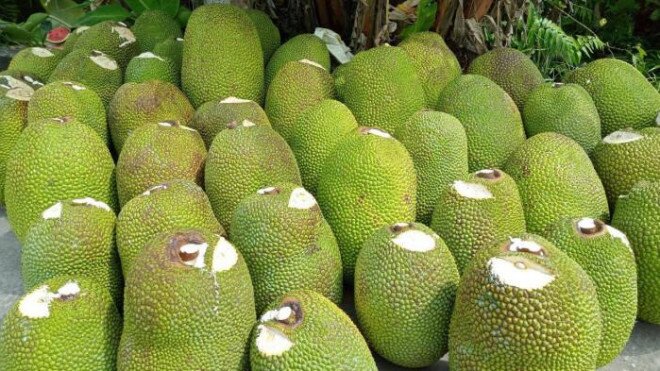 Trái cây miền Tây vào mùa lại "rớt giá, dội chợ”, sầu riêng 40.000/kg vẫn ế
