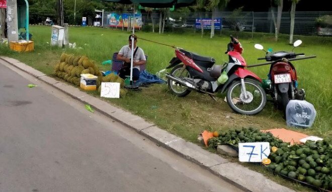 Trái cây miền Tây vào mùa lại "rớt giá, dội chợ”, sầu riêng 40.000/kg vẫn ế