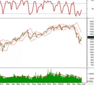 Phân tích kỹ thuật chứng khoán Việt Nam: Tuần 30/05-03/06/2022