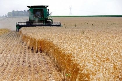 Nga sẵn sàng thảo luận về việc hỗ trợ xuất khẩu ngũ cốc của Ukraine