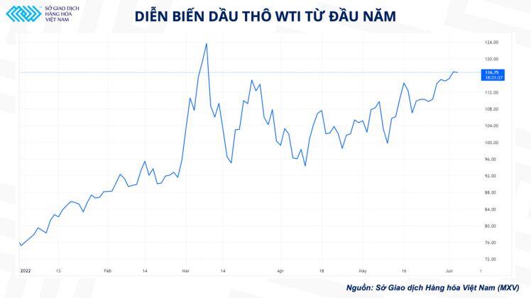 Giá dầu thô thế giới sẽ biến động ra sao sau cuộc họp của OPEC+?