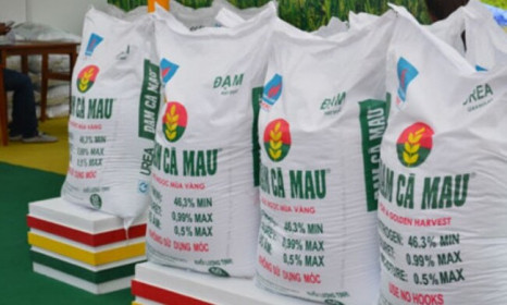 Một cổ phiếu phân bón được khối ngoại mua ròng 10 tháng liên tiếp