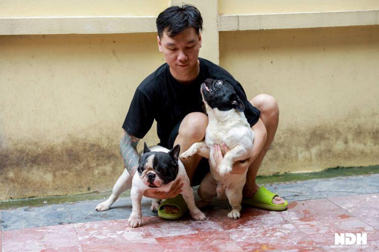 Bếp trưởng Hà Nội đầu tư tiền tỷ nuôi chó Bull Pháp đắt đỏ
