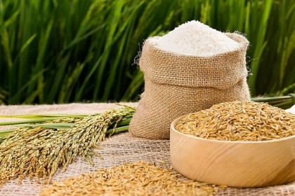 'Chìa khóa' xuất khẩu gạo Việt vào thị trường Bắc Âu