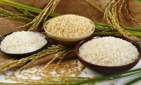 Gạo Trung An giảm kế hoạch lợi nhuận 2022 từ 600 tỷ đồng về 110 tỷ đồng