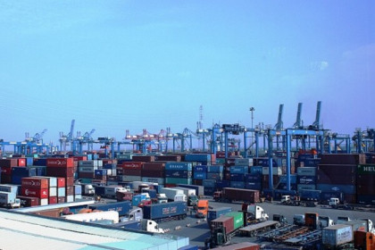 Chính phủ yêu cầu TP HCM xem xét, điều chỉnh thu phí hạ tầng cảng biển trong tháng 7