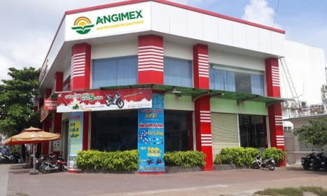 Angimex điều chỉnh giảm 64% kế hoạch lợi nhuận 2022