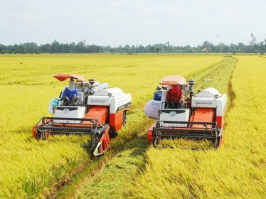 Bài toán giữ gạo xuất khẩu giá cao và những dự báo cuối năm 2022