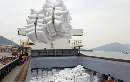 Việt Nam xuất khẩu 347 triệu USD gạo trong tháng 5, tăng hơn 25%