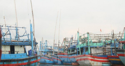Đề nghị Bộ Công an chỉ đạo điều tra đường dây 'cò' đưa tàu cá ra nước ngoài khai thác trái phép