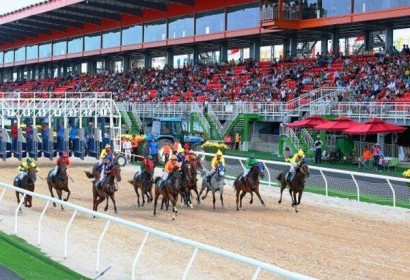 Hà Nội báo cáo Thủ tướng về dự án trường đua ngựa gần 10.000 tỷ đồng