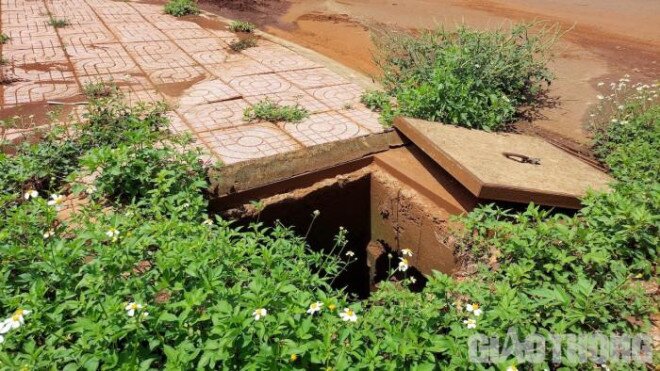 Khu đô thị hơn 200 tỷ quá hạn đầu tư, nhếch nhác… thành nơi chăn thả bò