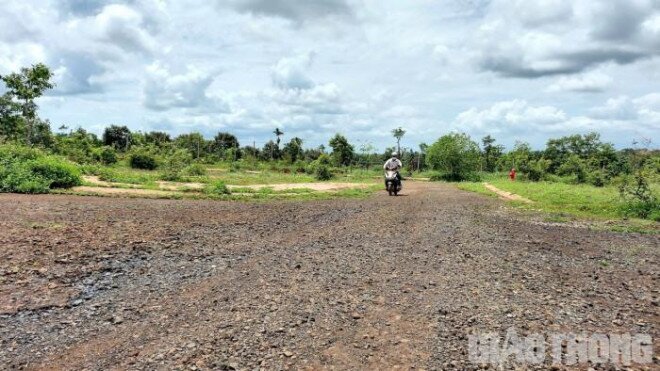 Khu đô thị hơn 200 tỷ quá hạn đầu tư, nhếch nhác… thành nơi chăn thả bò