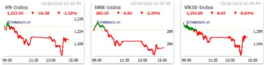 Nhịp đập Thị trường 15/06: Dòng tiền bắt đáy vào cuộc, VN-Index được "giải cứu" cuối phiên