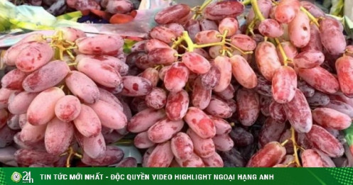 Hoa quả Úc dội chợ Việt với giá "siêu rẻ”, chỉ từ vài chục nghìn đồng/kg