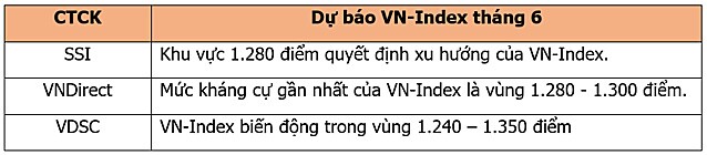 Công ty chứng khoán nhận định ra sao về biến động VN-Index tháng 6?