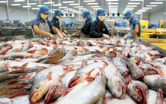 Tôm, cá tra tận dụng cơ hội thị trường đẩy mạnh xuất khẩu