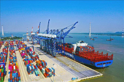 Cục Đường thủy Việt Nam lên tiếng về phí hạ tầng cảng biển tại TP.HCM, Hải Phòng