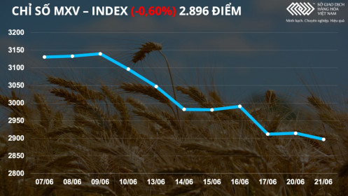 Chỉ số MXV-Index giảm điểm do lực bán mạnh trên nhóm nông sản