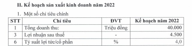 DS3 đặt kế hoạch lãi sau thuế 2022 giảm gần 42%
