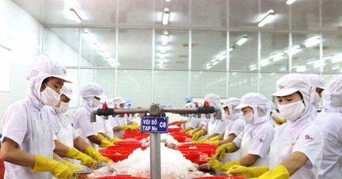Việt Nam có thể thay thế Ấn Độ, Indonesia để trở thành nhà cung ứng nông, lâm, thuỷ sản mới cho thị trường Anh