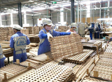 Hoa Kỳ gia hạn cung cấp thông tin phản biện với tủ gỗ nhập khẩu từ Việt Nam