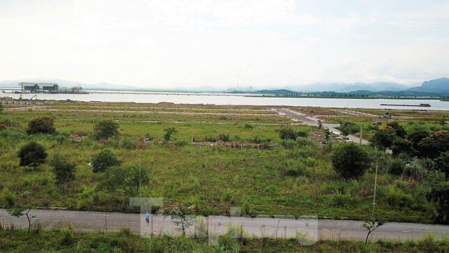 Khu đô thị gần 100ha ''đất vàng'' ở Quảng Ninh bỏ hoang, cỏ mọc um tùm