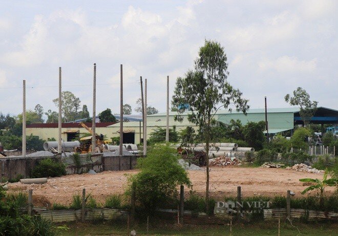 Quảng Nam: Ngang nghiên chiếm đất, công ty Thái Bình bị phạt gần 200 triệu đồng