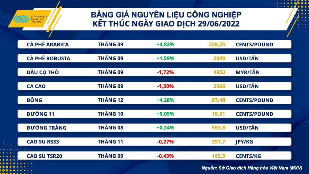 Giá bông tăng kịch trần sau chuỗi giảm liên tiếp