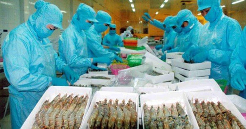 Xuất khẩu thủy sản quý II vượt mốc 3,2 tỷ USD