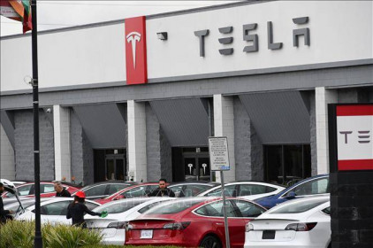 Đức thu hồi một số mẫu xe của Tesla do lỗi phần mềm