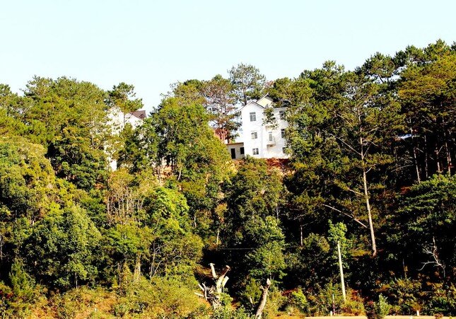 Phát hiện hàng loạt biệt thự, homestay chiếm đất rừng ở Măng Đen