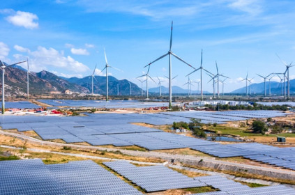Mảng năng lượng tái tạo được định giá tỷ USD, Trungnam Group đàm phán bán 35% cổ phần