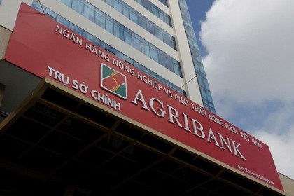 Agribank phát mại 6 lô đất hơn 250 tỷ đồng tại quận 1 TP HCM