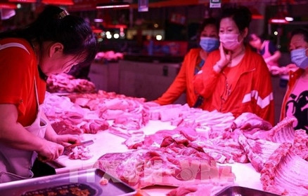 Trung Quốc: Giá thịt lợn đẩy lạm phát tháng 6 tăng