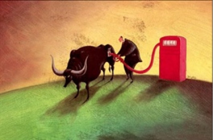 Thị trường chứng quyền 13/07/2022: CPDR2201 và CNVL2203 đang có định giá hấp dẫn