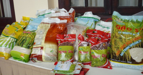 Giá gạo Việt xuất sang Anh "vượt mặt" gạo Thái Lan, Campuchia và Myanmar