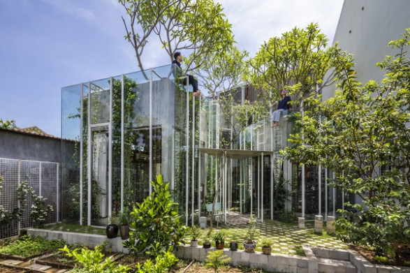 Căn nhà 'bọc kính' ngập tràn cây xanh của cặp vợ chồng Huế