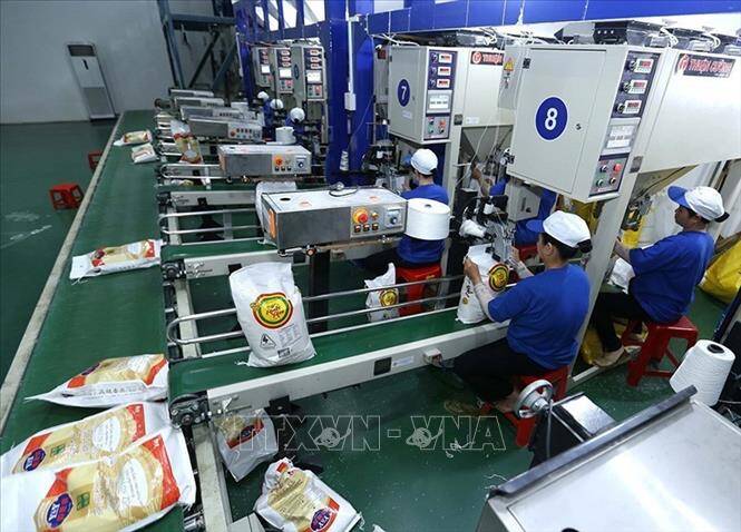 Thị trường nông sản tuần qua: Giá lúa tăng, giảm trái chiều